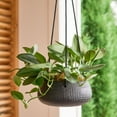 thumbnail image 3 of (2 pack) Better Homes & Gardens 8in Black Ceramic Tiffany Hanging Planter, 3 of 10