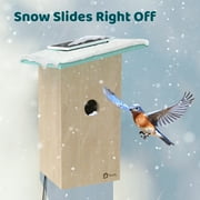 Birdfy Smart Bird Houses With 1080P HD Bird Feeder Camera, Perfect Viewing Bird Nesting and Hatching, Solar Powered, Cyan