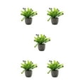 thumbnail image 2 of Decodeary Green Eco-friendly Artificial Money Tree In Pot Long-lasting Durability Realistic Appearance purple babysbreath 5Set, 2 of 6