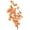 Orange, variant on Vickerman 13.5-17" Navy Dried Cara Blossom Bundle, Preserved.