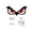 C, variant on Halloween Eyes Lights, Large Wooden Window Eye Lights with 7 Color Modes and USB or Battery Operation for Home, Wall, Window, and Tree Decorations