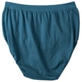 thumbnail image 2 of Women's Bali 803J Comfort Revolution Microfiber Brief Panty (Gem Jade Retro 6/7), 2 of 2