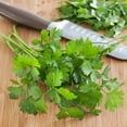 thumbnail image 3 of Bonnie Plants Flat Italian Parsley 19.3 oz., 3 of 11