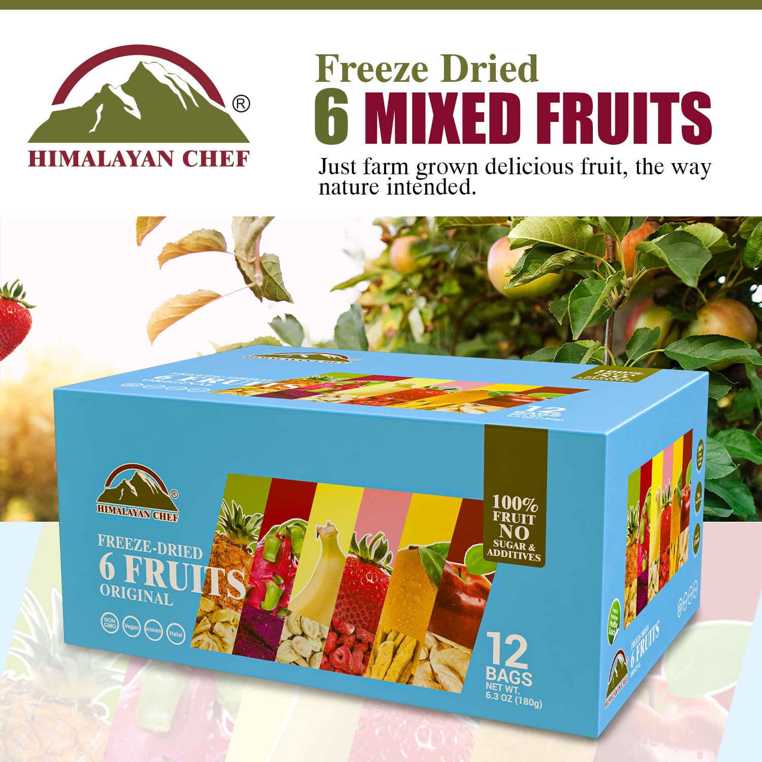 Himalayan Chef Freeze-Dried Fruit Mix (12 Bags) | Healthy Snack for Kids & Adults, 6 Assorted Fruits: Banana, Apple, Mango, Pineapple, Strawberry & Dragon Fruit