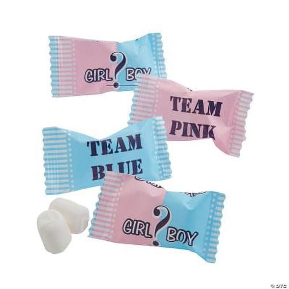 Team Pink & Team Blue Baby Shower Buttermints, Individually Wrapped, 108 Pieces