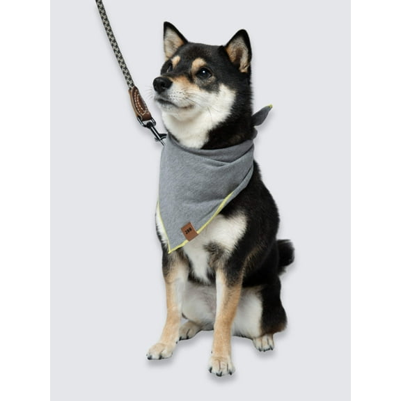 Dog Bandana