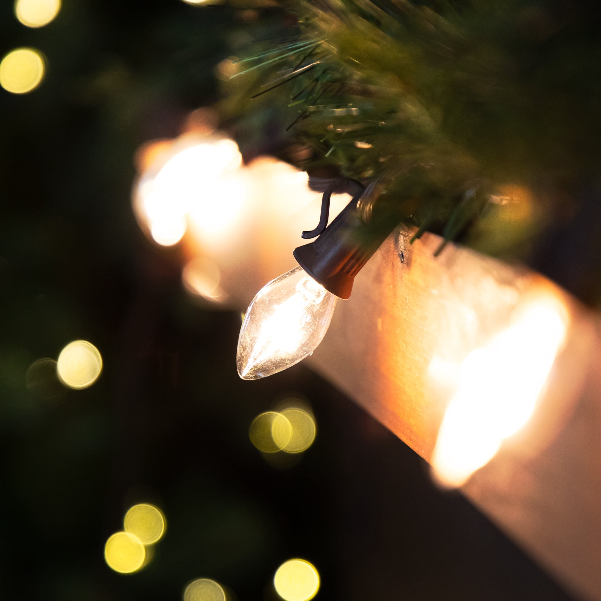 Northlight C7 Christmas String Lights - Clear - 24' Brown Wire - 25ct