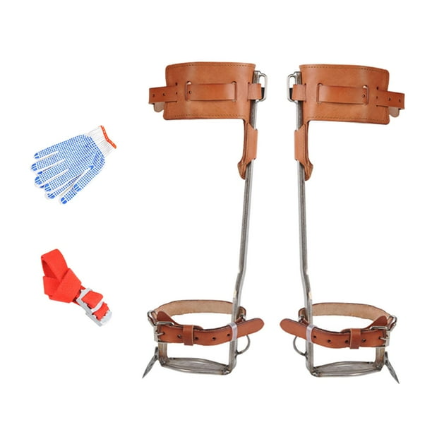 Juego de púas para trepar árboles con cinturón de seguridad, pedal, cuerda de cordón ajustable Equipo completo de cuero 1