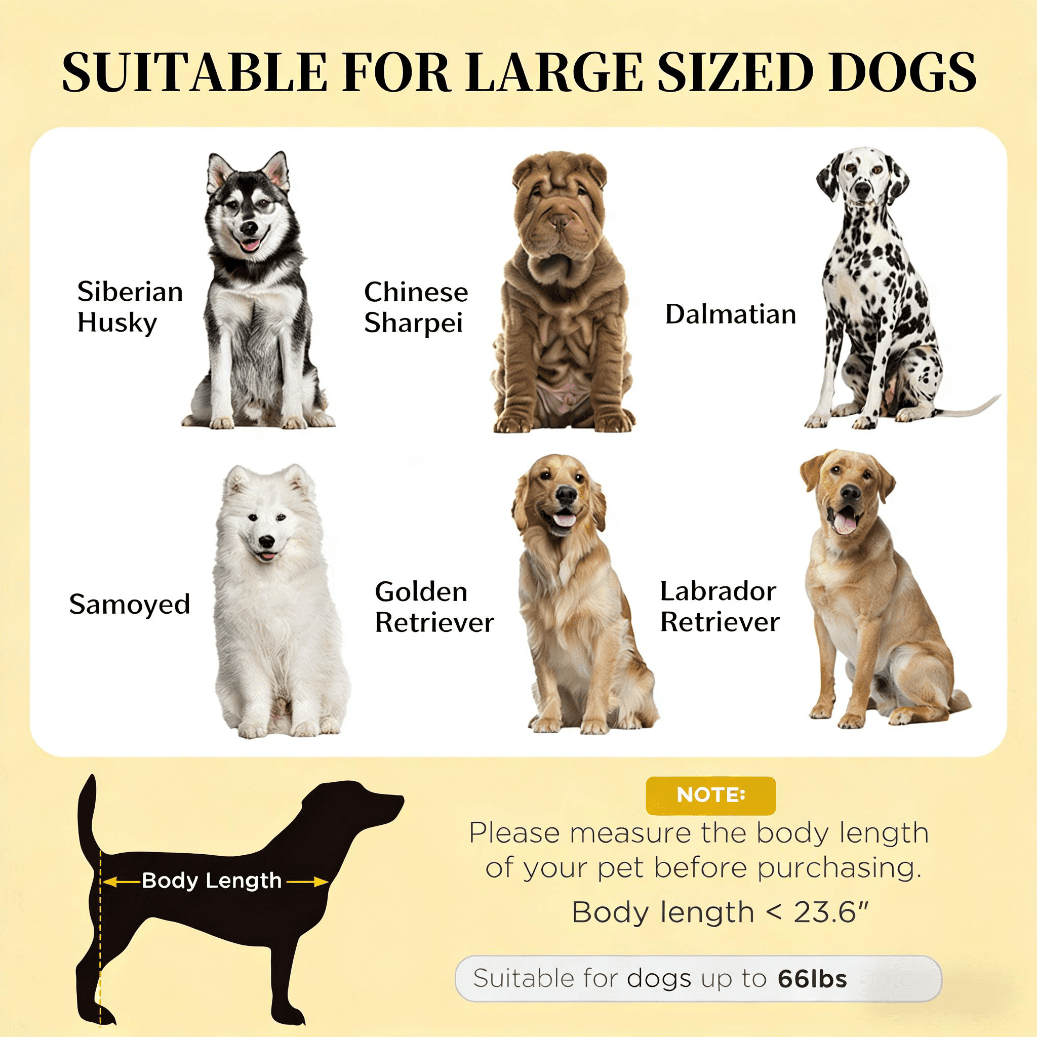 Pet Bed, Elevated Portable Dog Cot