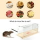 thumbnail image 4 of Trampa para ratas, juego profesional de trampa para jardín y hogar para ratones, así como ratas, ardillas, hámsteres, caja de jaula de caza viva múltiple para animales, 4 of 5