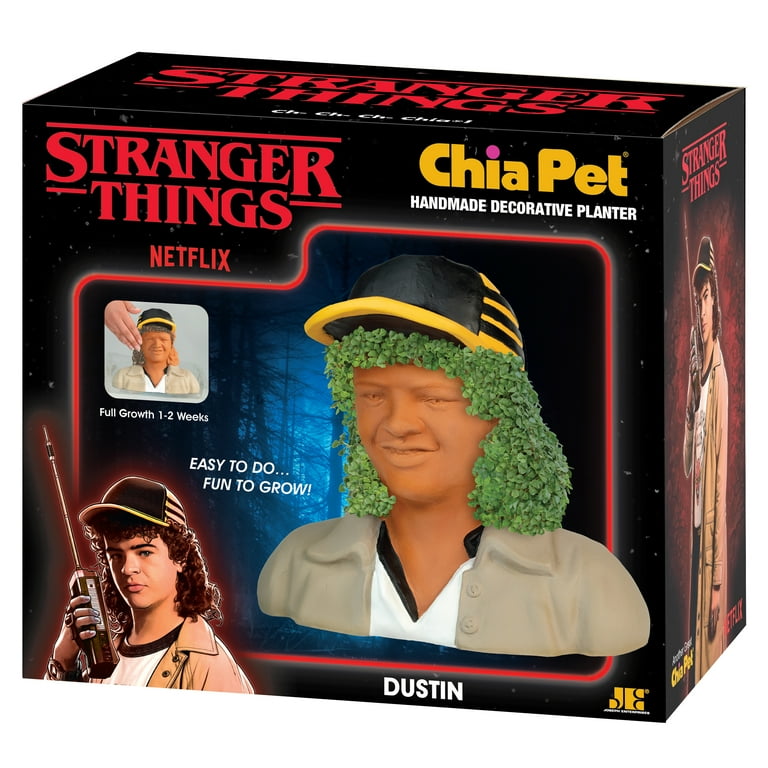 Stranger Things Dustin Chia Pet Handmade Decorative Planter by JEI