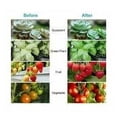 thumbnail image 5 of Versatile Full Spectrum Growth Light, Led Grow Light Bulb Showcasing Energy Saving Technology, Aluminum Construction For Longevity, Scientific Exterior Design Enhances Plant, 5 of 5