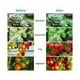 thumbnail image 5 of Lámpara de crecimiento innovadora de espectro completo, bombilla LED para cultivo que ofrece tecnología LED avanzada, aplicación multipropósito para diversas necesidades de jardinería, la, 5 of 5