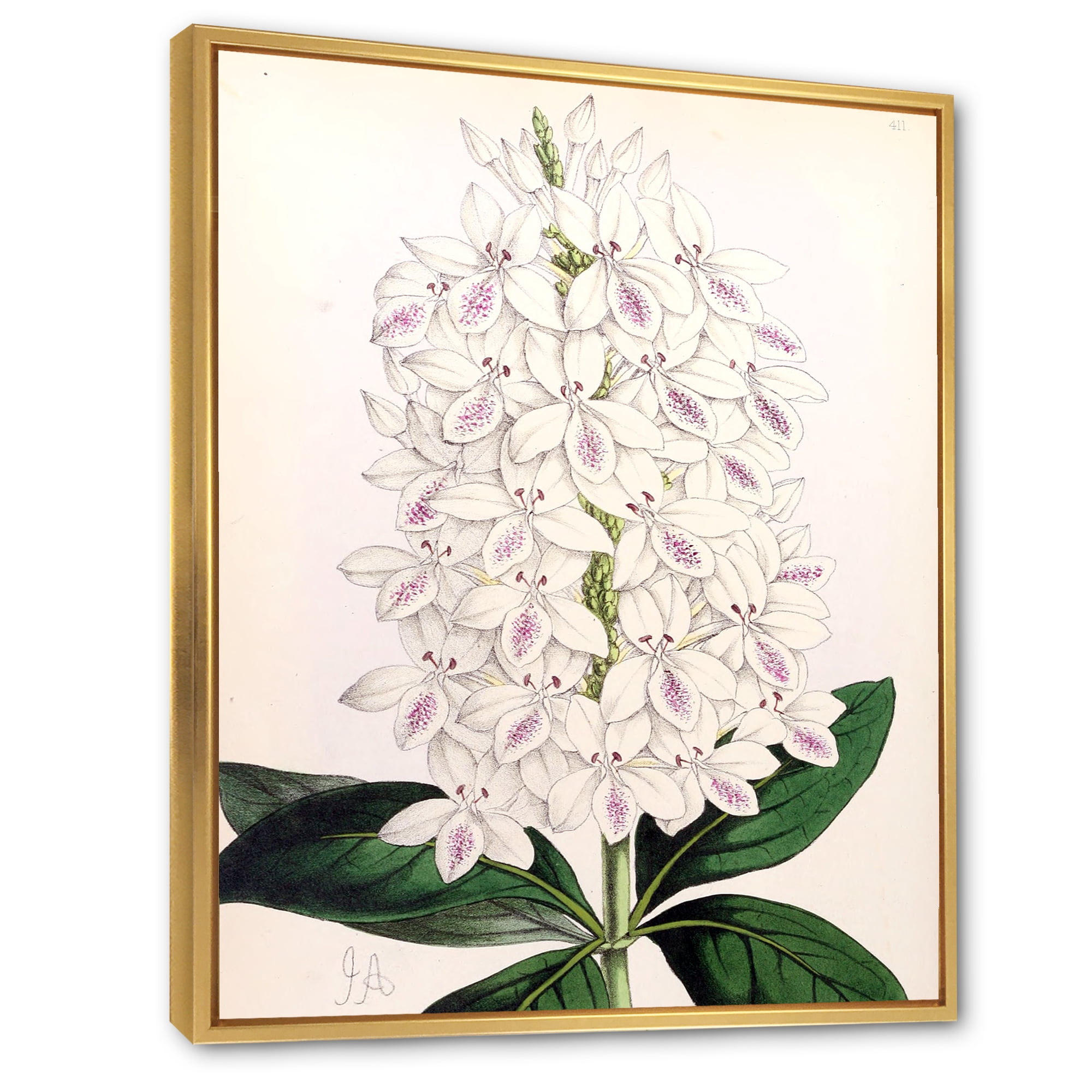 Designart 'Ancient White Orchid III' Traditional Framed Canvas Wall Art Print