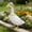 Yellow_New#4992, variant on Porch Goose Clothes Dress Up Costume – Rustic Lace Fabric Outfit, Adjustable Fit, Assorted Colors – Cute Porch Patio Yard Garden Goose Decoration