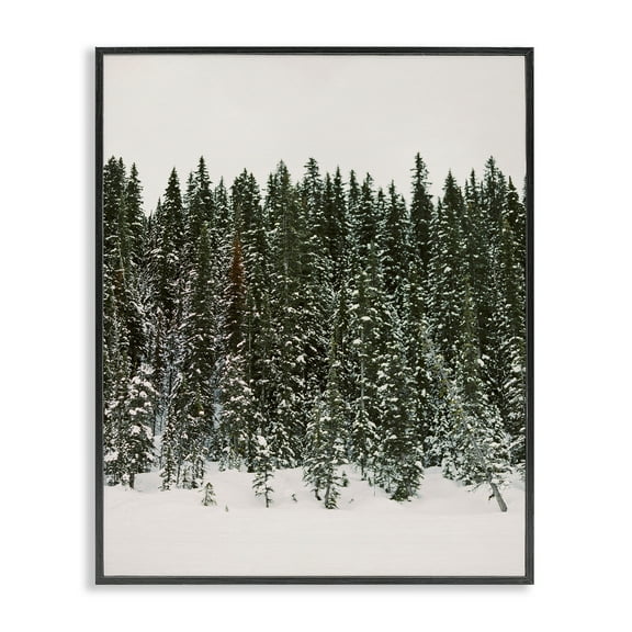 Stupell Industries Winter Forest Grove Landscape Photography Black Framed Art Print Wall Art, 11 x 14