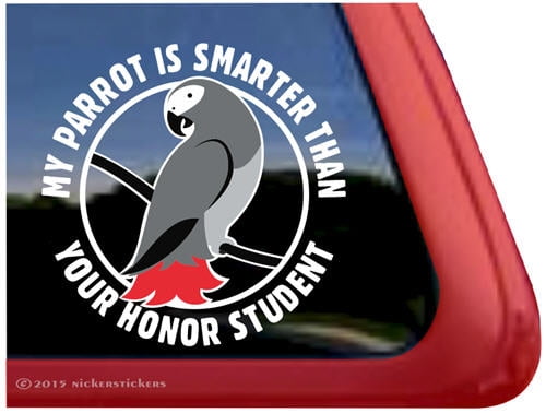My Dog Is Smarter Than Your Honor Student Black Metal License Plate Frame