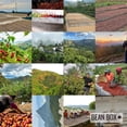 thumbnail image 5 of Bossa Blend - Roasted by Casa Brasil Coffees - Whole Bean Coffee - 5lb Bag, 5 of 6