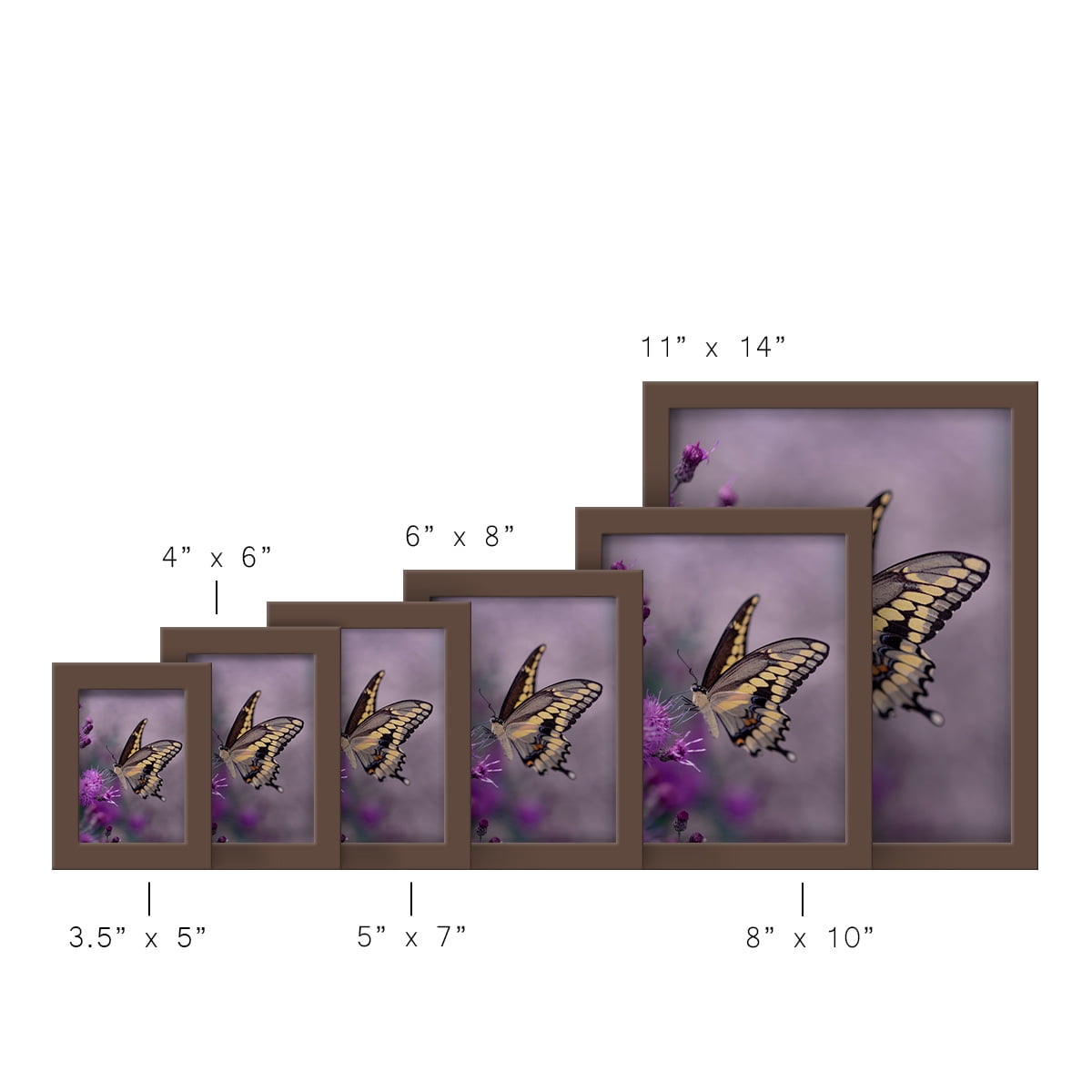 Modern 11 in. x 14 in. Brown Picture Frame (Set of 4)