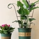 thumbnail image 1 of Enrejado de soporte para plantas de vid BuyWeek Acero inoxidable jardín enrejado para plantas trepadoras, 1 of 9