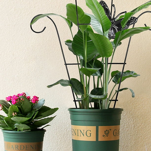 Enrejado de soporte para plantas de vid BuyWeek Acero inoxidable jardín enrejado para plantas trepadoras