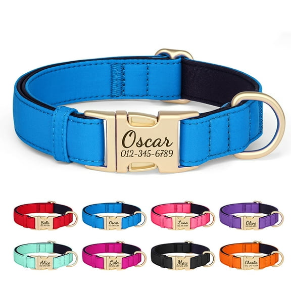 Pet Artist Personalized Durable Nylon Dog Collars Soft Padded Waterproof Name Number Engraved Metal Buckle for Small/Medium/Large Breeds