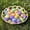 Multicolor, variant on Mini Easter Eggs, Yannianjz Small Plastic Easter Eggs, 50 Pcs Colorful Eggs for Egg Hunt,kidsParty Favor Fillers, Decorative Eggs for Basket Centerpiece