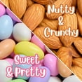thumbnail image 5 of Assorted Jordan Almonds by Its Delish, 3.5 lbs Jumbo Container  Pastel Colors Kosher Almond Nut with Sweet Hard Candy Coating, 5 of 7