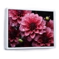 thumbnail image 2 of Designart "Majestic Dahlia in Pink III" Floral Floater Framed Canvas Print, 2 of 7