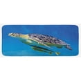 thumbnail image 1 of Turtle Kitchen Mat, Angry Looking Sea Turtle Swimming with Remora Fishes Fauna Under the Sea, Plush Decorative Kitchen Mat with Non Slip Backing, 47" X 19", Blue Yellow Brown, by Ambesonne, 1 of 1