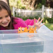 4M: Green Science: Aqua Robot - DIY Water Swimming Fish Toy Robot, Solar & Battery Hybrid Power, STEM Building Craft & Activity Set, Kids Ages 5+