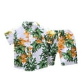 thumbnail image 3 of Toddler Boys Outfit Sets Summer Leaf Print Short Sleeve T-Shirt And Shorts Set Kids Boy Hawaii Holiday Beach Outfit Sets,2Pice，2 -3 Years, 3 of 8