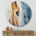 thumbnail image 2 of Designart 'Abstract Close-Up of A Beautiful Horses Eye II' Farmhouse Circle Metal Wall Art 29x29 - Disc of 29, 2 of 5