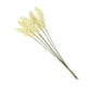 thumbnail image 3 of Cateissary Ramo de flores de hierba de trigo Artificial, 6 uds., simulación de mano pequeña y fresca, artesanía de trigo, accesorios de decoración para Plantas Artificiales blanco Cateissary HA7512-01B, 3 of 6
