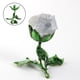 thumbnail image 1 of Soporte de exhibición grabado en 3D, accesorios de fotografía, regalo, soporte de esfera DIY, escritorio, oficina y decoración del hogar, Base Grande CUTICAT Soporte de exhibición de bola esférica, 1 of 8