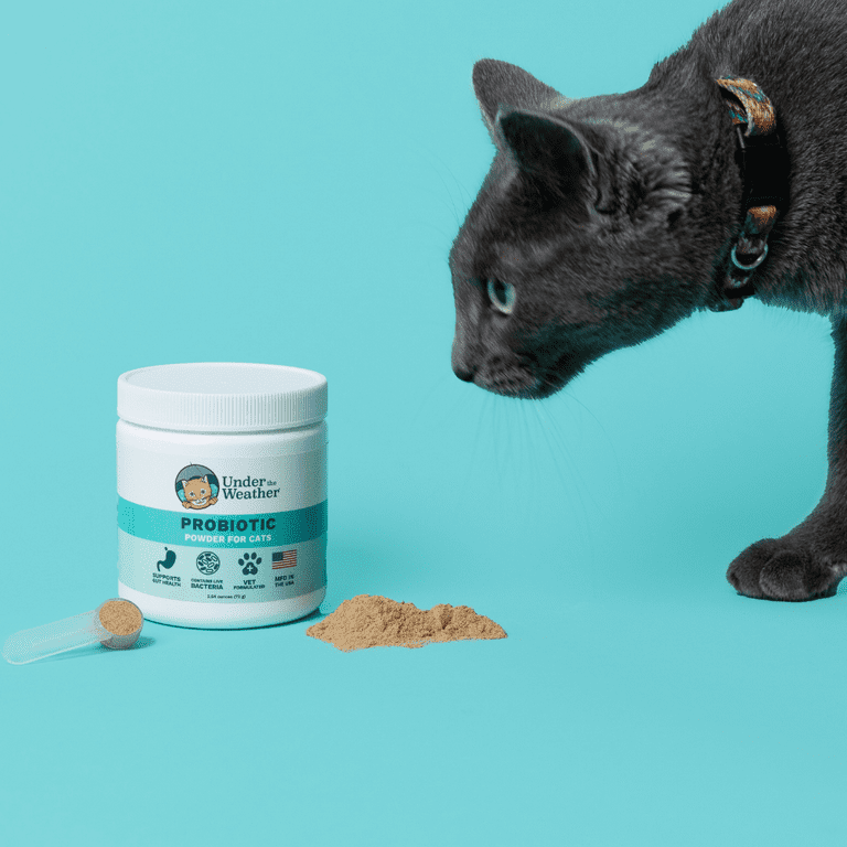 Cat probiotics cheap walmart