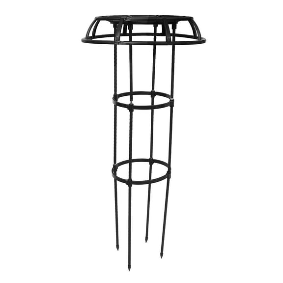Black Plastic-Coated Iron Plant Trellis for Potted Climbing Plants at Home 70-100 Characters