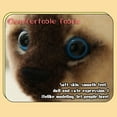 thumbnail image 5 of Apmemiss Clearance Cat Plush - Kawaii Cat Plush Cute Cat Stuffed Animal Toys, Cat Plush Cat Doll for Boys Girls, Kawaii Home Decorations Birthday Chirstmas Gifts for Kids Kids Christmas Gifts, 5 of 7