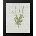 thumbnail image 2 of Kimberly, Allen 20x24 Black Modern Framed Museum Art Print Titled - Fresh Herbs 1, 2 of 5