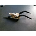 thumbnail image 5 of reative Reusable Wine and Beverage Bottle Stopper, used for Bar, Kitchen, Holiday Party, (Antelope skull wine stopper), 5 of 5