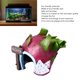 thumbnail image 4 of Decoración de resina ANGGREK Casa de Fruta para Acuario, 4 of 8