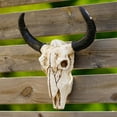 thumbnail image 1 of Escultura de cráneo de toro Obra de arte Cabeza de cráneo Colgante de pared Cabeza de animal de resina Cuerno largo Estatua de cráneo perfecl Escultura de cabeza de cráneo de vaca, 1 of 8