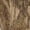 Mossy Oak Country Roots, variant on Drake Waterfowl Men's Non-Typical Three-End Camo Hoodie Jacket