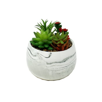 Mainstays 6.75" Artificial  Succulents in White and Gray Marble er