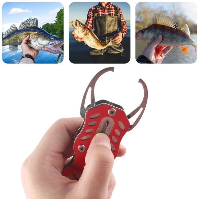 Mini Fishing Grip, Aluminum Alloy Portable Fish Control Clamp with Anti Lost Rope, for Fishing Enthusiasts