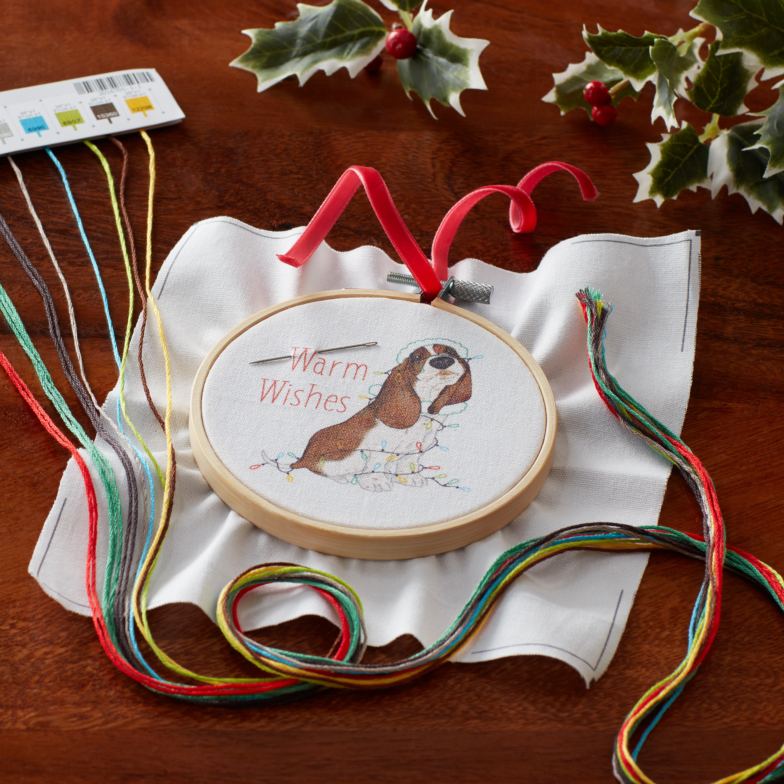 The Pioneer Woman Charlie with Lights Embroidery Ornament Kit