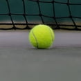 thumbnail image 2 of Entrenador de tenis, Entrenador de tenis Pelotas de rebote Práctica de entrenador de pelota de tenis Pelota de tenis Pelota de entrenamiento para principiantes de tenis con cuerda de goma elástica de Ecomeon no, 2 of 6
