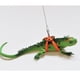 thumbnail image 3 of Arnés y correa ajustables para reptiles, aves, loros y cacatúas grises africanas. Azul, 3 of 9