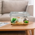 thumbnail image 2 of Standard Faunarium Reptile Tank Transport Portable Habitat Feeding Boxes With Handle Tank Critteer For Pet Gecko & Frog Reptile Feeding, 2 of 3
