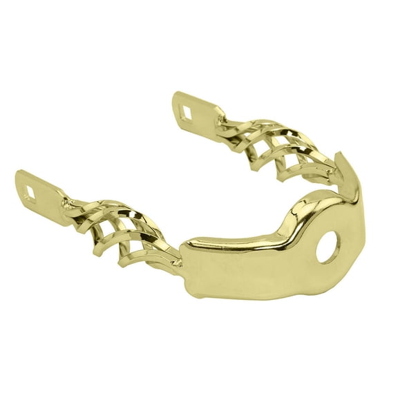 Alta Bicycle Spring Fork Cage Twisted Extended Crown Gold.